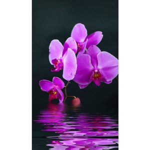 Panou radiant cu infraroșu Trio