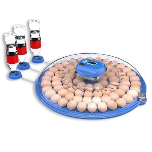 Incubator pentru ouă Whimlets