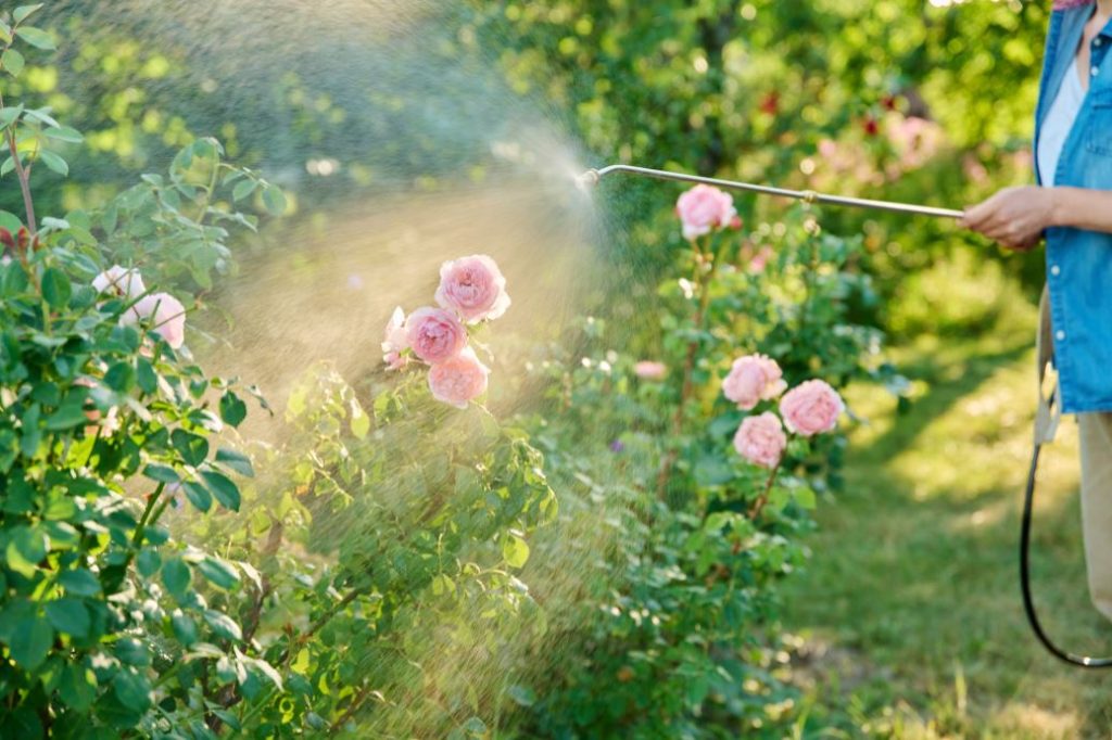Avantajele unei pompe de stropit cu acumulator - bloglacumparaturi.ro