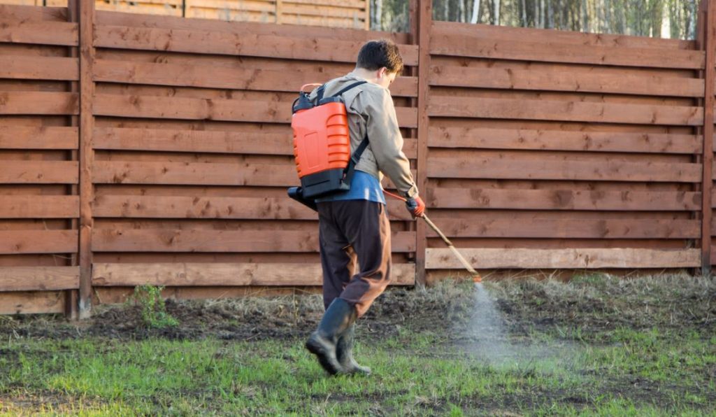 Pompă de stropit electrică în grădină - Top modele - bloglacumparaturi.ro